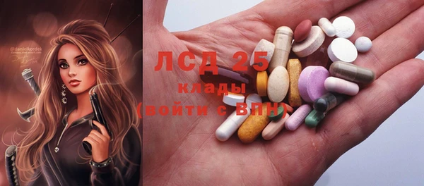 стаф Нея