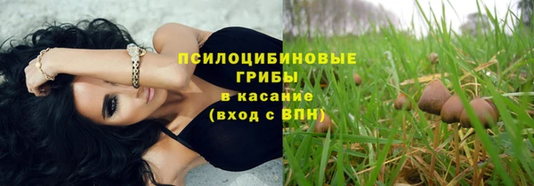 трава Армянск
