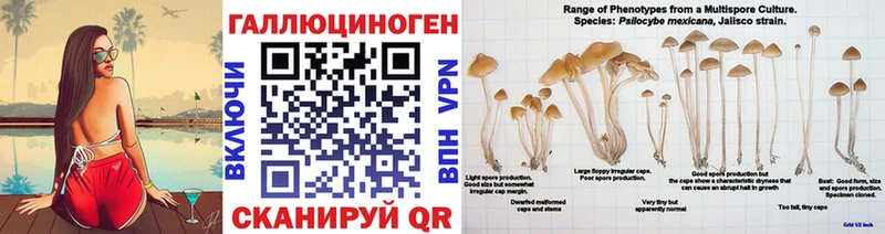 Псилоцибиновые грибы GOLDEN TEACHER  хочу   Мещовск 
